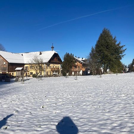 Obereggut Appartement Hof bei Salzburg Buitenkant foto