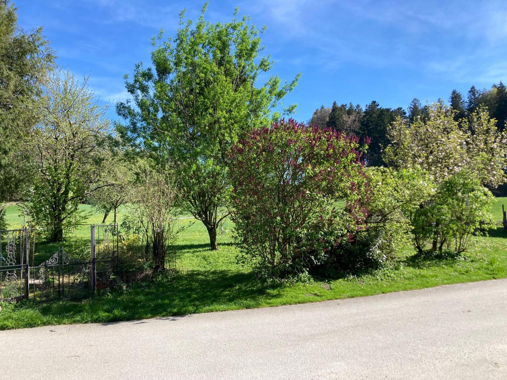 Obereggut Appartement Hof bei Salzburg Buitenkant foto