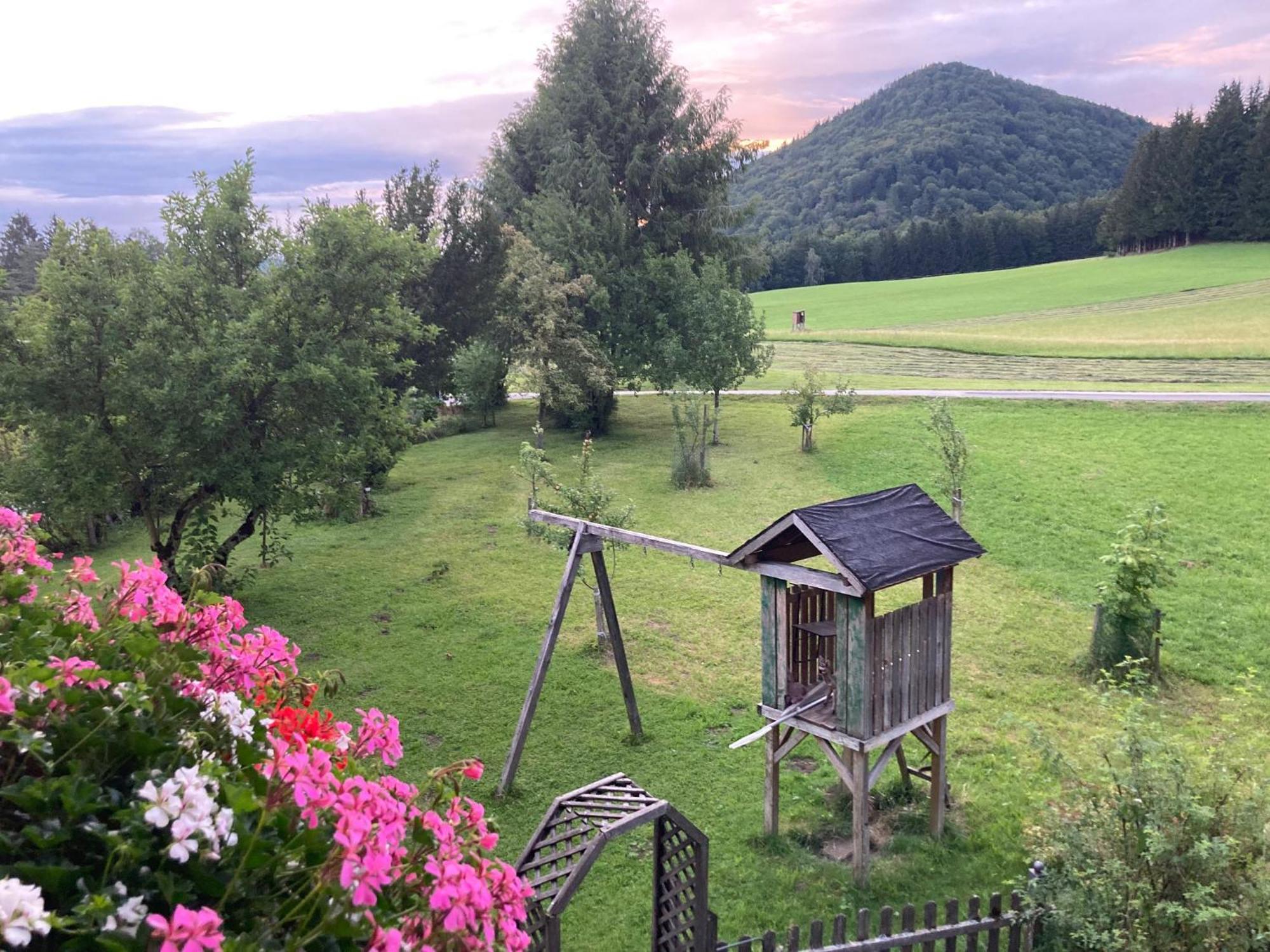 Obereggut Appartement Hof bei Salzburg Buitenkant foto