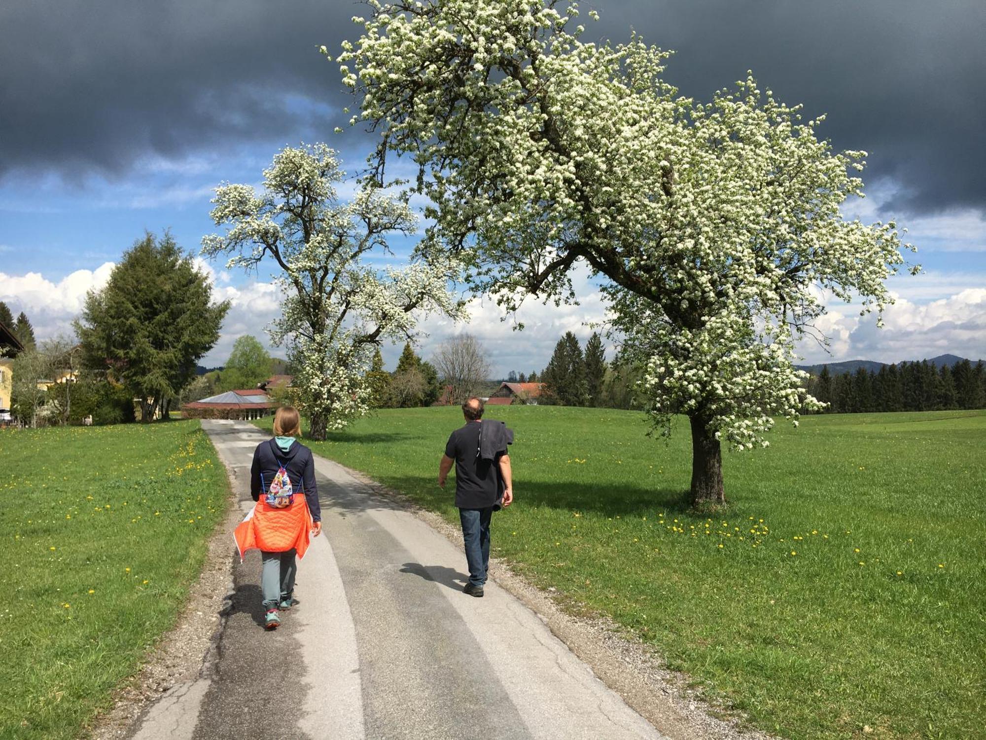 Obereggut Appartement Hof bei Salzburg Buitenkant foto