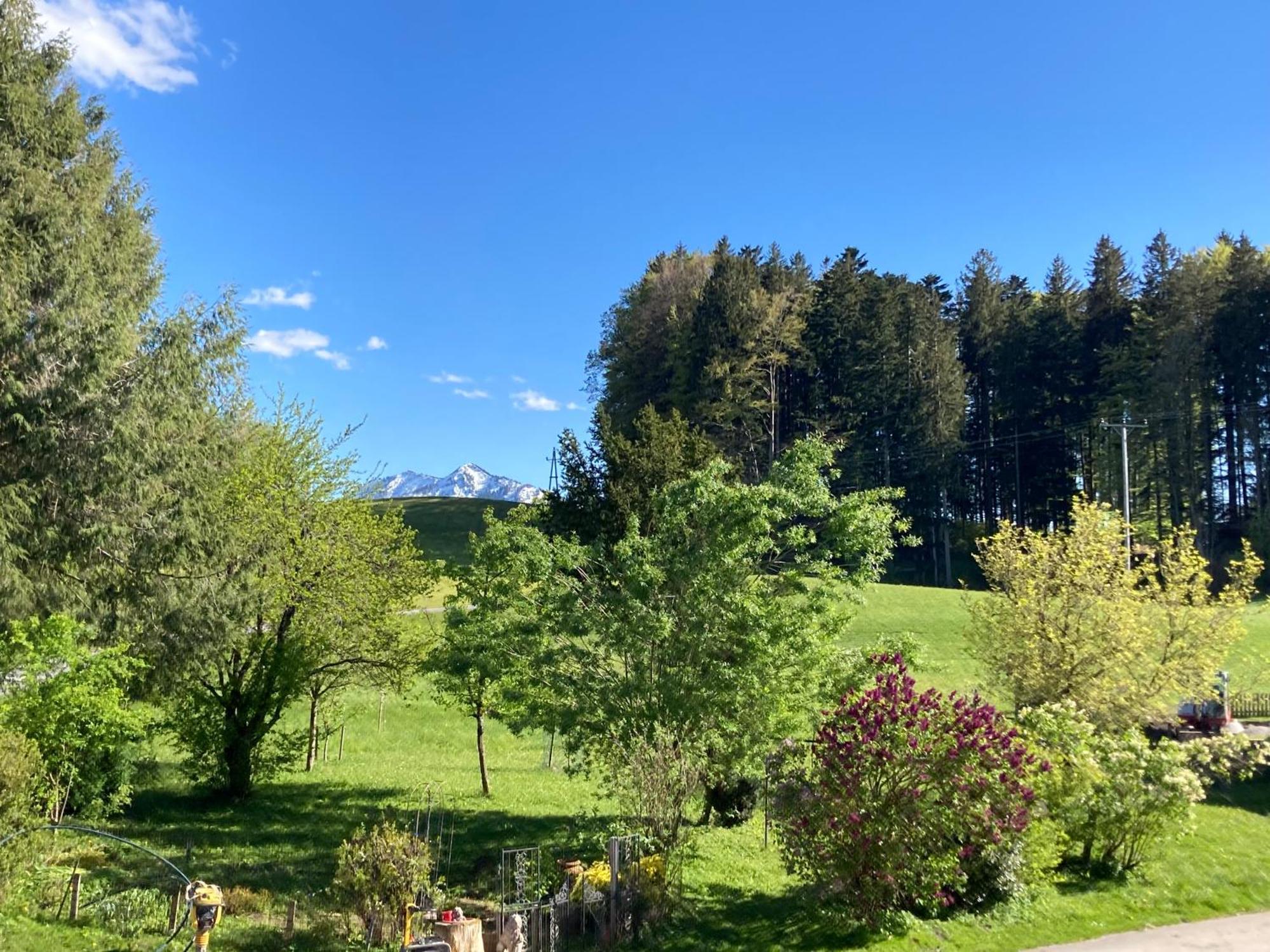 Obereggut Appartement Hof bei Salzburg Buitenkant foto
