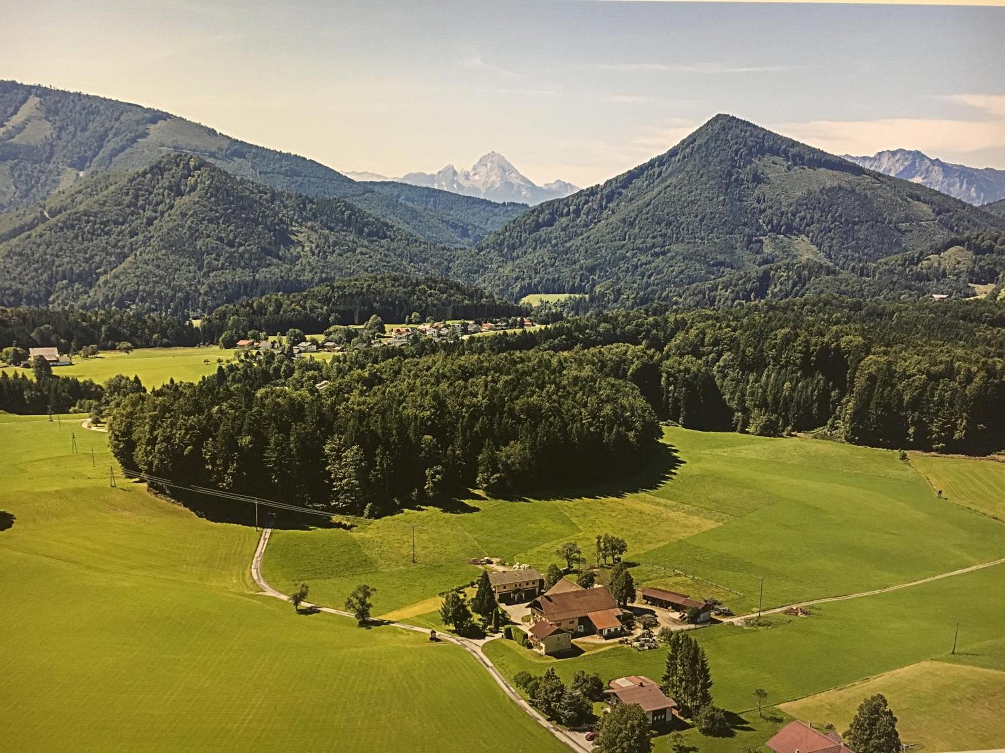 Obereggut Appartement Hof bei Salzburg Buitenkant foto